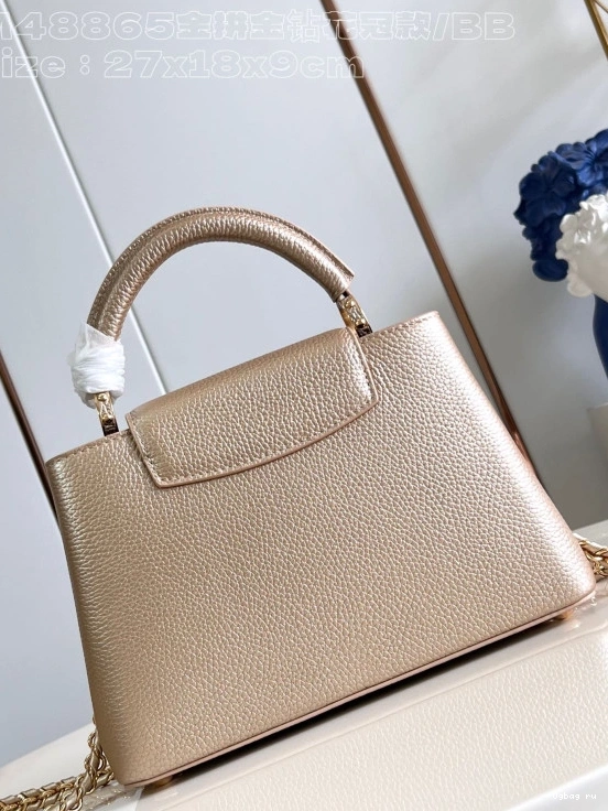 BB-27*18*9CM VUITTON CAPUCINES LOUIS 0713